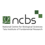 1 NCBS